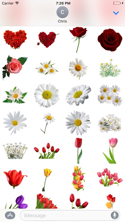 Flowers StickersPack