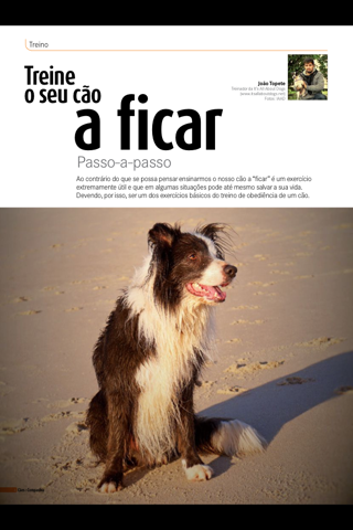 Cães & Companhia revista screenshot 2