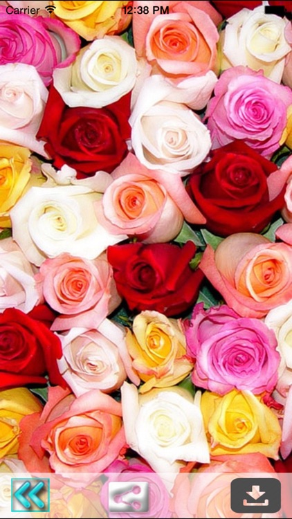 Rose Wallpapers and Backgrounds apps 4kAmazoninAppstore for Android