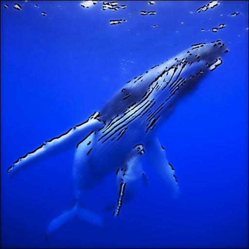 Whale Whistle Icon