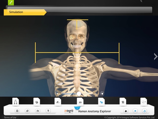 Human Anatomy Explorer Skeletal System(圖5)-速報App