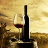 French Wine 101-Tutorial Guide and Latest News