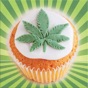 Weed Cookbook - Medical Marijuana Recipes & Cookin app download