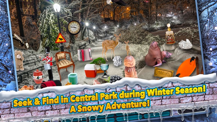 Hidden Objects New York - Central Park Winter