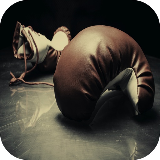 Boxing Fun! Punch Box Fighter For Kids Hero Free iOS App