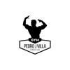 Pedro J Villa