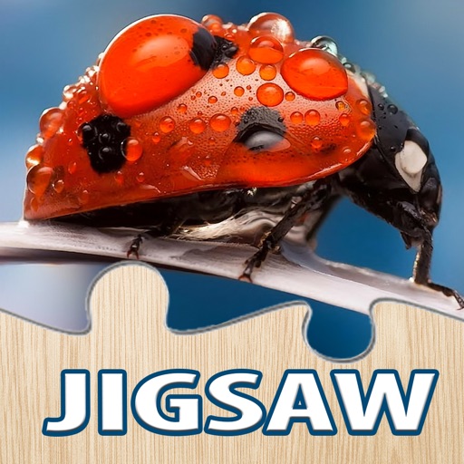 Nature Flowers and Bug Jigsaw Puzzle for Adults Icon