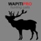 Wapiti calls and wapiti hunting calls with wapiti sounds perfect for wapiti hunting