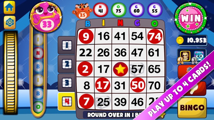 Bingo Lane