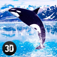 Activities of Angry Killer Whale: Orca Simulator 3D Full