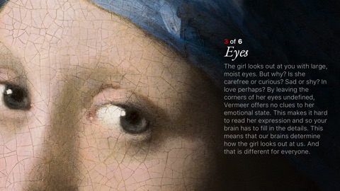 Screenshot #14 for Second Canvas Mauritshuis
