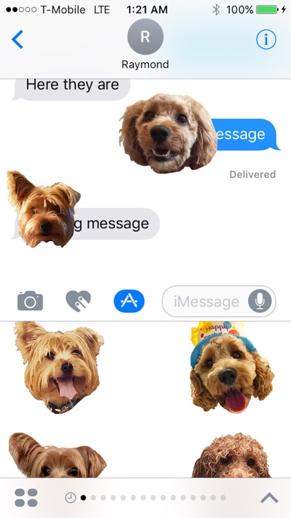 Dog Friends