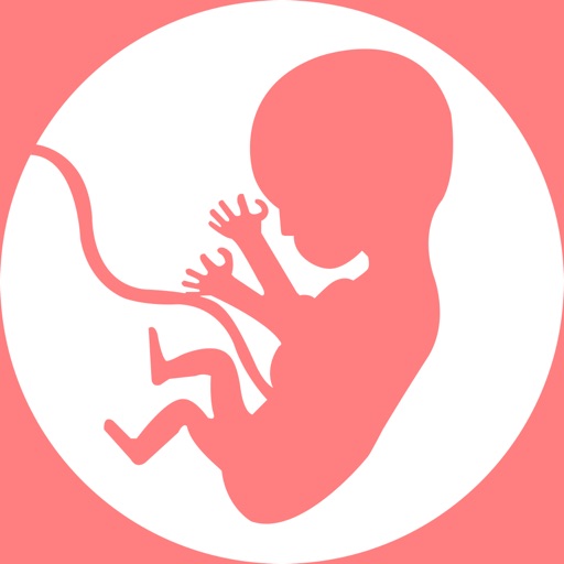 胎教知识 icon