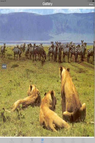 Serengeti - Africa Tourist Travel Guide screenshot 2