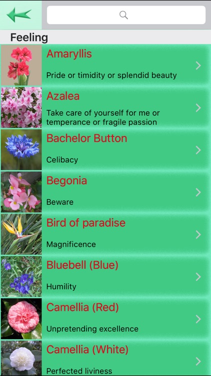 Flowers Language
