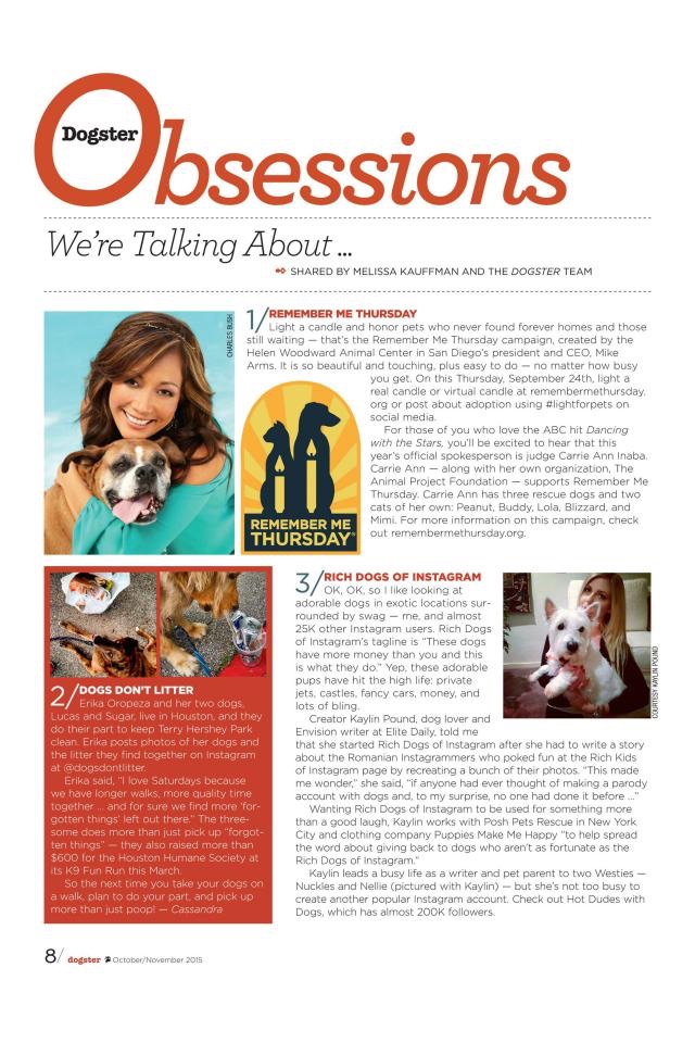 Dogster Magazine screenshot 4