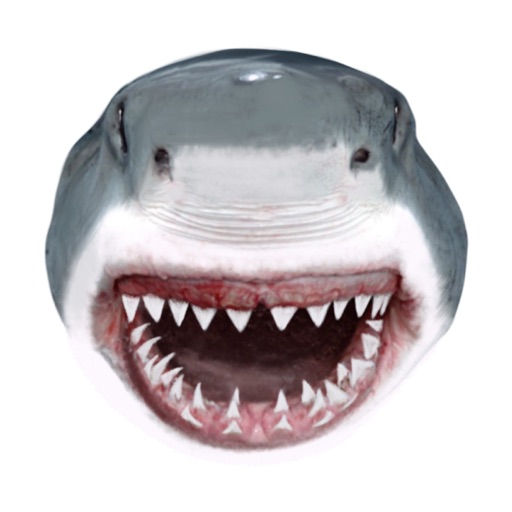Shark Head Icon