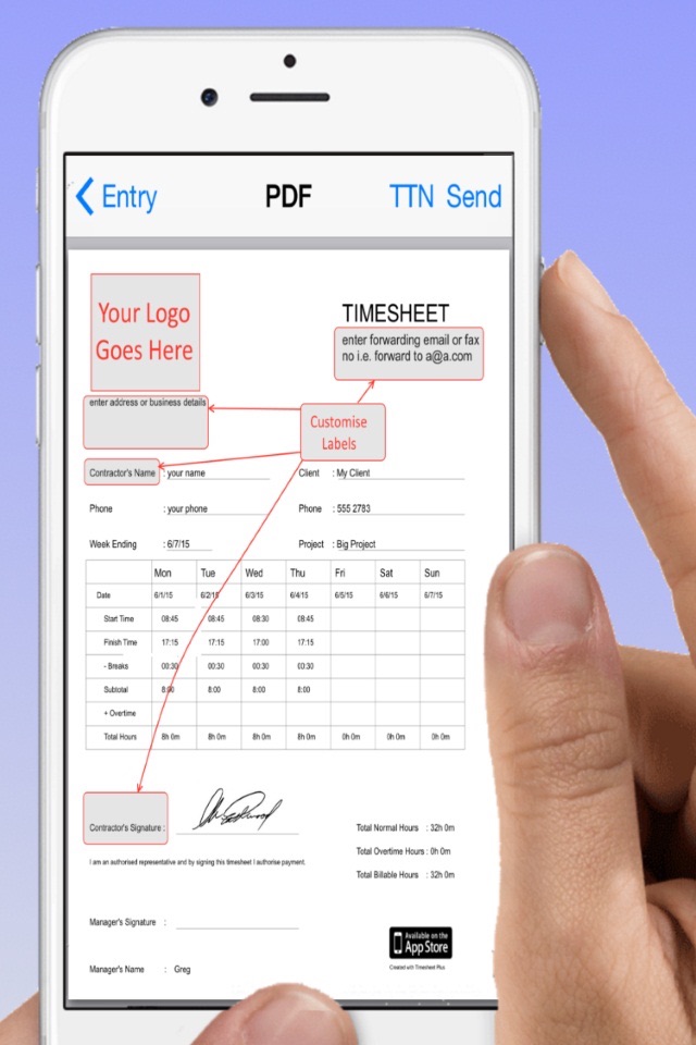 Timesheet Plus screenshot 4