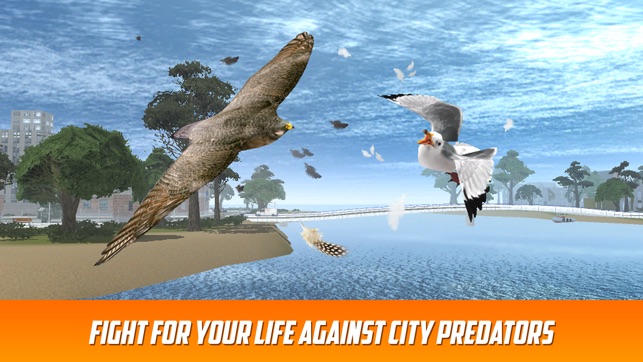 Seagull Bird Survival Simulator 3D Full(圖3)-速報App