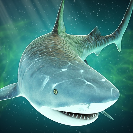 Shark in Beach Sim Pro: Chaos in Paradise Island