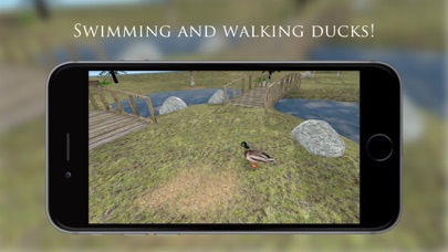 How to cancel & delete Duck Pond VR from iphone & ipad 3