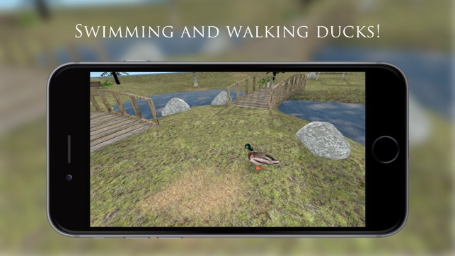 Duck Pond VR(圖3)-速報App