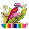 Party Robin Bird Adventure Coloring Book Free Game