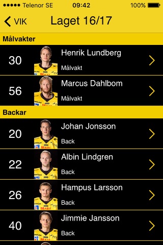 VIK Västerås HK screenshot 3