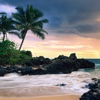 Hawaii The Big Island Travel-Raiders,Tips and Diet