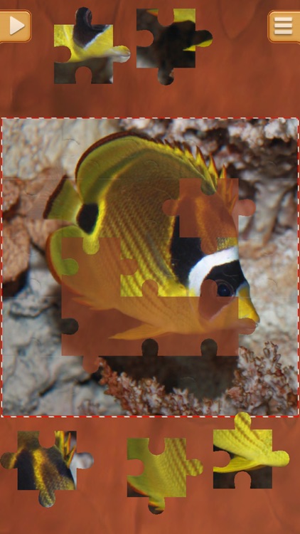 Cool Fish Jigsaw Puzzles - Fun Logical Games