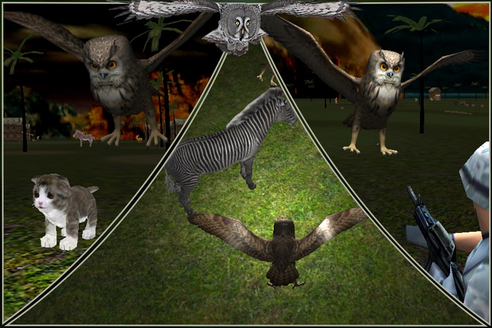 Wild Owl Flying Simulator 3D screenshot 2