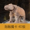 碑林博物馆3D