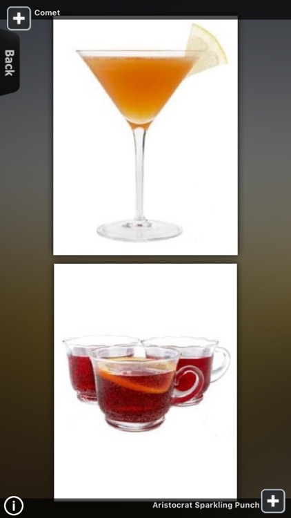 Cocktail Recipes for iPad