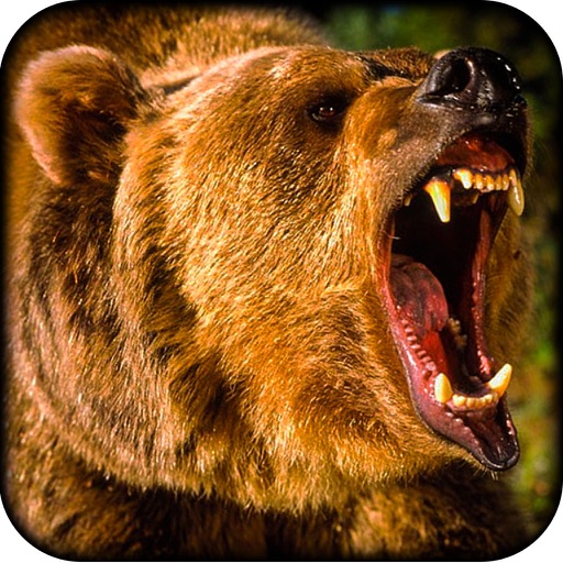 2016 Asian Bear Hunting Pro