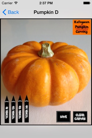 Halloween Pumpkin Carving screenshot 2