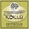 Köklü Zeytincilik