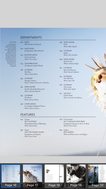 The Flyfish Journal