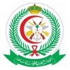 الصحة في الميدان