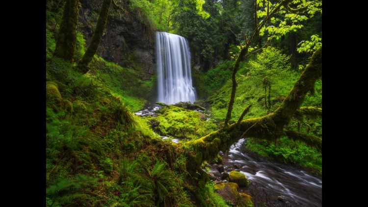 Tranquility - Natural Relaxation