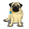 Max The Pug Stickers