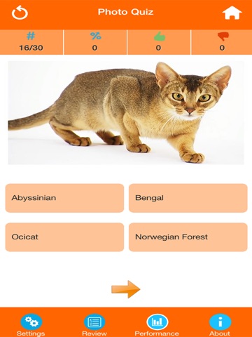 Cat Breeds Quiz screenshot 2