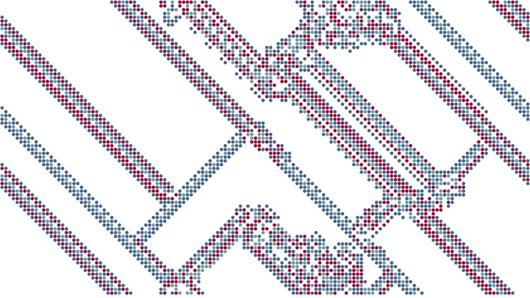 Langton's Ant Family Cellular Automata