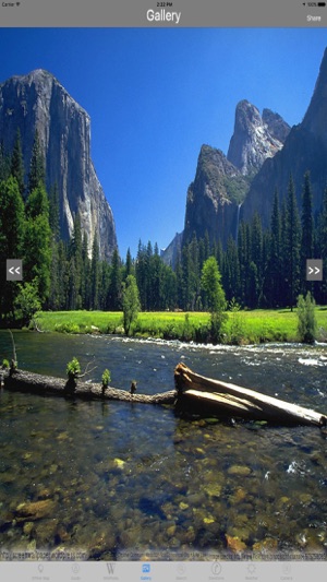 Yosemite National Park in California Tra