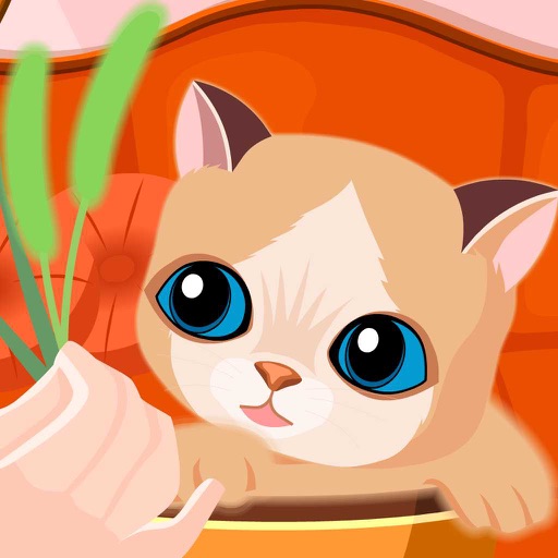 My Sweet Cat - Kitten Daycare icon