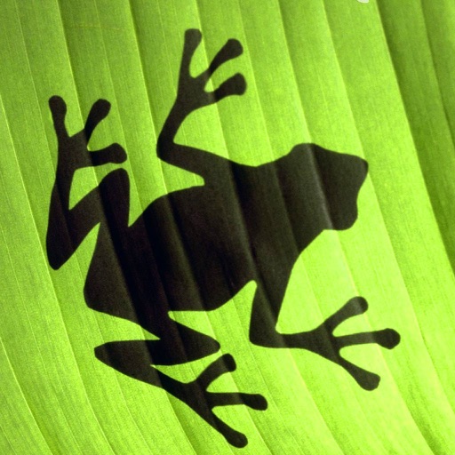 青蛙跳星球 icon