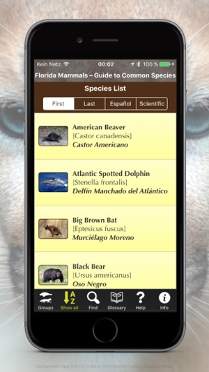 Florida Mammals – Guide to Common Species(圖2)-速報App