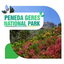 Peneda Geres National Park Travel Guide