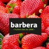 Fruites Barbera