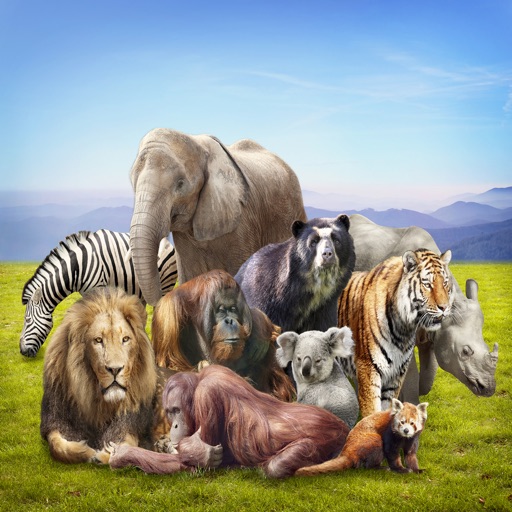 Animals : Wild Mammals Quiz Icon