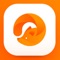 Fox Browser - Free web browser for iOS